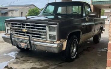 Chevrolet-C10-1985-8