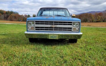 Chevrolet-C10-1985-Blue-blue-1