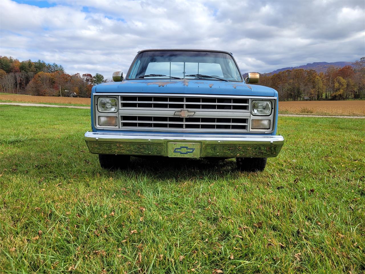 Chevrolet-C10-1985-Blue-blue-1