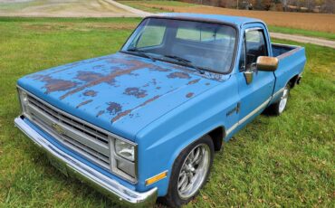 Chevrolet-C10-1985-Blue-blue