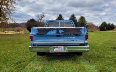 Chevrolet-C10-1985-Blue-blue-4