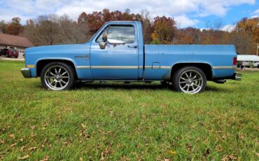 Chevrolet-C10-1985-Blue-blue-5