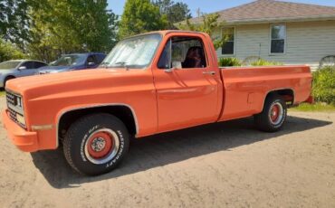 Chevrolet-C10-1985-Orange-3
