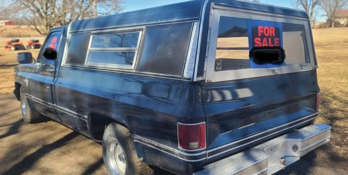 Chevrolet-C10-1986-Blue-Gray-1