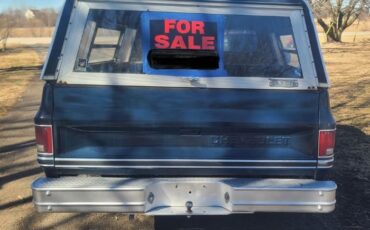 Chevrolet-C10-1986-Blue-Gray-2