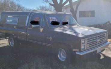 Chevrolet-C10-1986-Blue-Gray-3