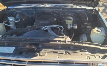 Chevrolet-C10-1986-Blue-Gray-9