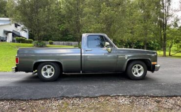 Chevrolet-C10-1986-Gun-Metal-Gray-Metal-18