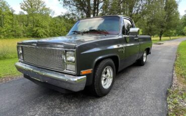 Chevrolet-C10-1986-Gun-Metal-Gray-Metal-24