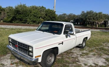 Chevrolet-C10-1986-White-Grey-1