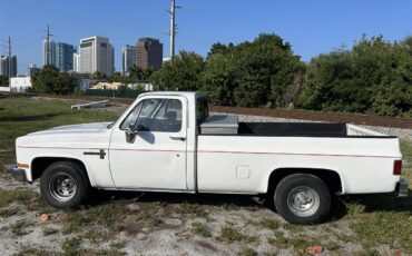 Chevrolet-C10-1986-White-Grey-11
