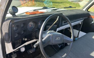 Chevrolet-C10-1986-White-Grey-15