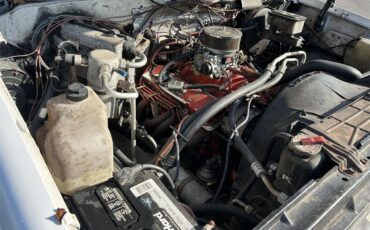 Chevrolet-C10-1986-White-Grey-17