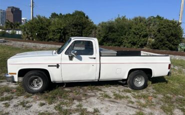 Chevrolet-C10-1986-White-Grey-2