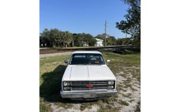 Chevrolet-C10-1986-White-Grey-3