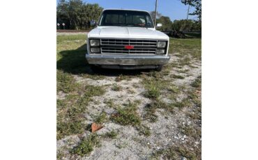 Chevrolet-C10-1986-White-Grey-4