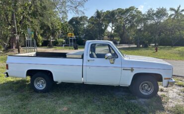 Chevrolet-C10-1986-White-Grey-6