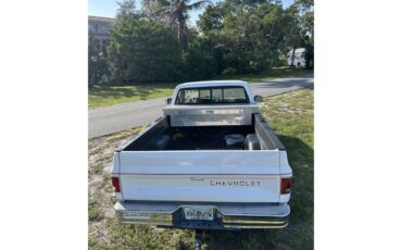 Chevrolet-C10-1986-White-Grey-7