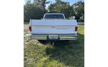 Chevrolet-C10-1986-White-Grey-8