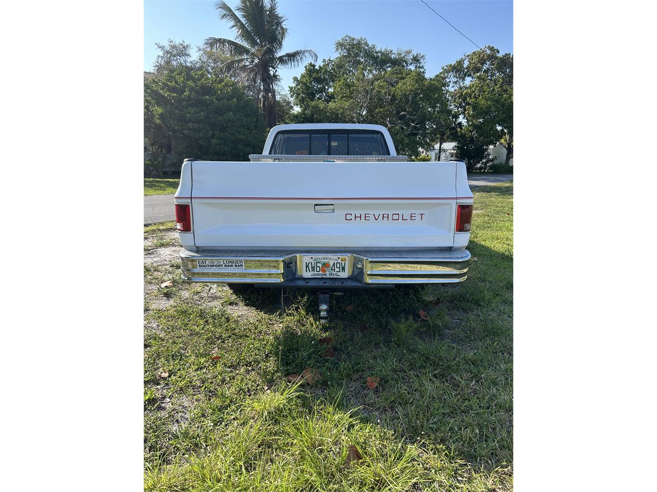 Chevrolet-C10-1986-White-Grey-8