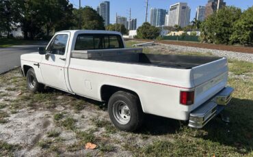 Chevrolet-C10-1986-White-Grey-9