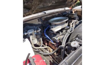Chevrolet-C10-1987-Light-tan-and-red-Light-tan-10