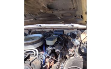 Chevrolet-C10-1987-Light-tan-and-red-Light-tan-13