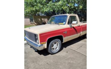 Chevrolet-C10-1987-Light-tan-and-red-Light-tan-5