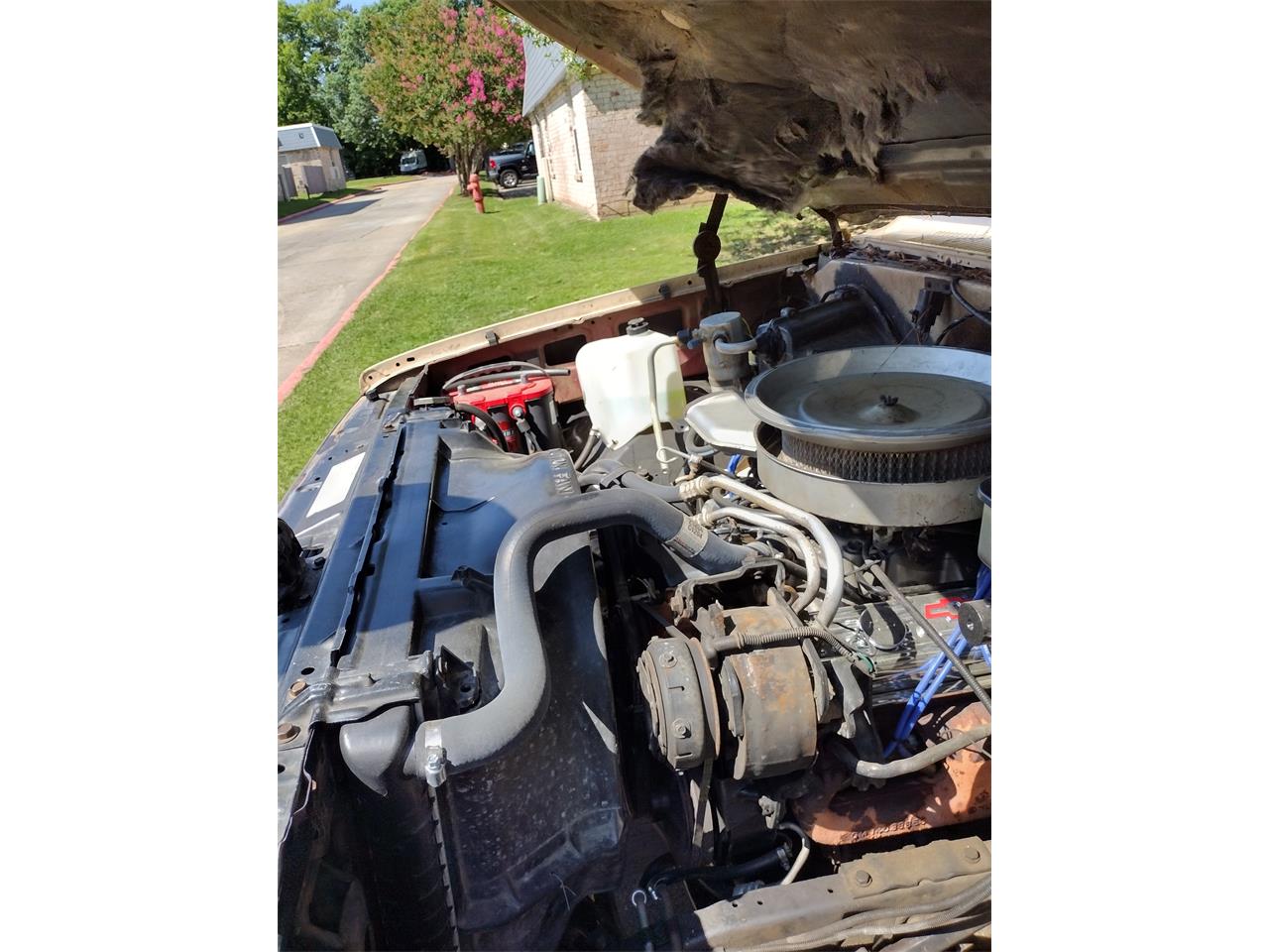 Chevrolet-C10-1987-Light-tan-and-red-Light-tan-6