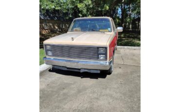 Chevrolet-C10-1987-Light-tan-and-red-Light-tan-7