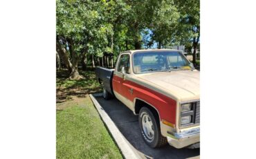 Chevrolet-C10-1987-Light-tan-and-red-Light-tan-8