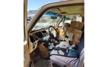 Chevrolet-C10-1987-Light-tan-and-red-Light-tan-9