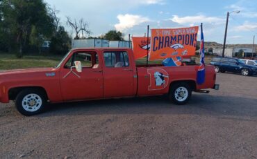 Chevrolet-C10-truck-1976-custom-15