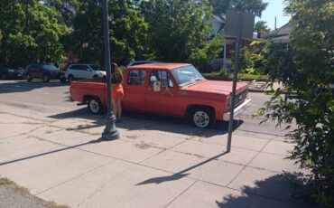 Chevrolet-C10-truck-1976-custom-8