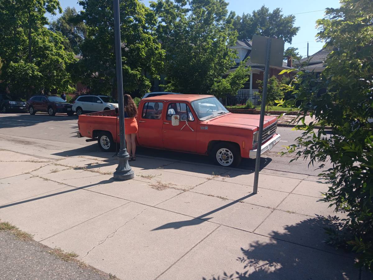 Chevrolet-C10-truck-1976-custom-8
