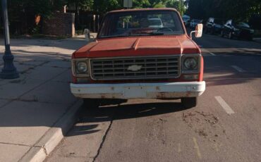 Chevrolet-C10-truck-1976-custom-9