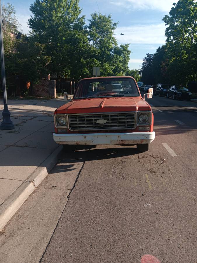 Chevrolet-C10-truck-1976-custom-9
