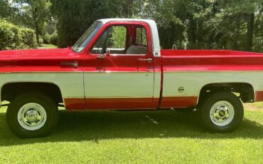 Chevrolet-C10K10-1977-16