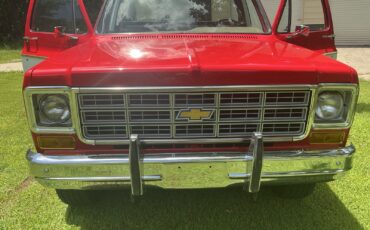 Chevrolet-C10K10-1977-17
