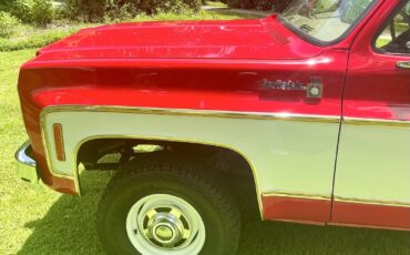 Chevrolet-C10K10-1977-19
