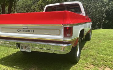 Chevrolet-C10K10-1977-20