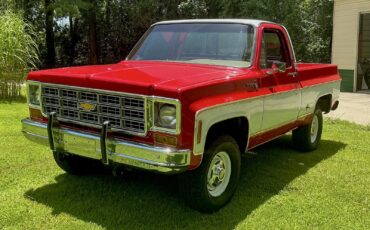 Chevrolet-C10K10-1977-22