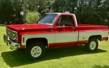 Chevrolet-C10K10-1977-24