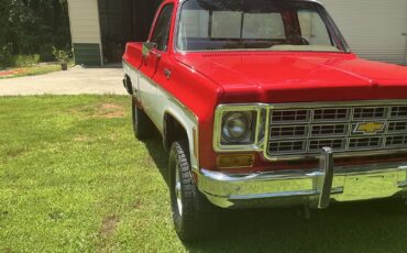 Chevrolet-C10K10-1977-32