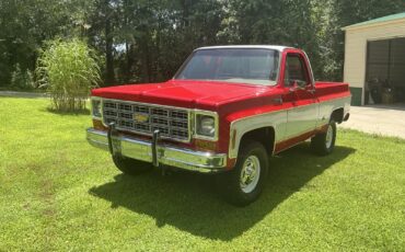 Chevrolet-C10K10-1977-33
