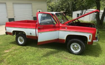 Chevrolet-C10K10-1977-5