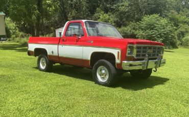 Chevrolet-C10K10-1977-7