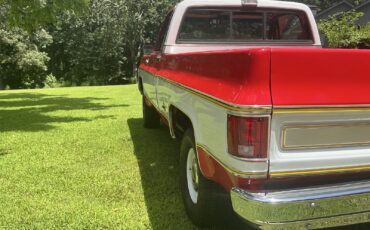 Chevrolet-C10K10-1977-8