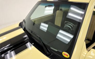 Chevrolet-C1500-1994-Butternut-Yellow-Black-18