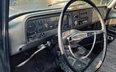 Chevrolet-C20-1966-4